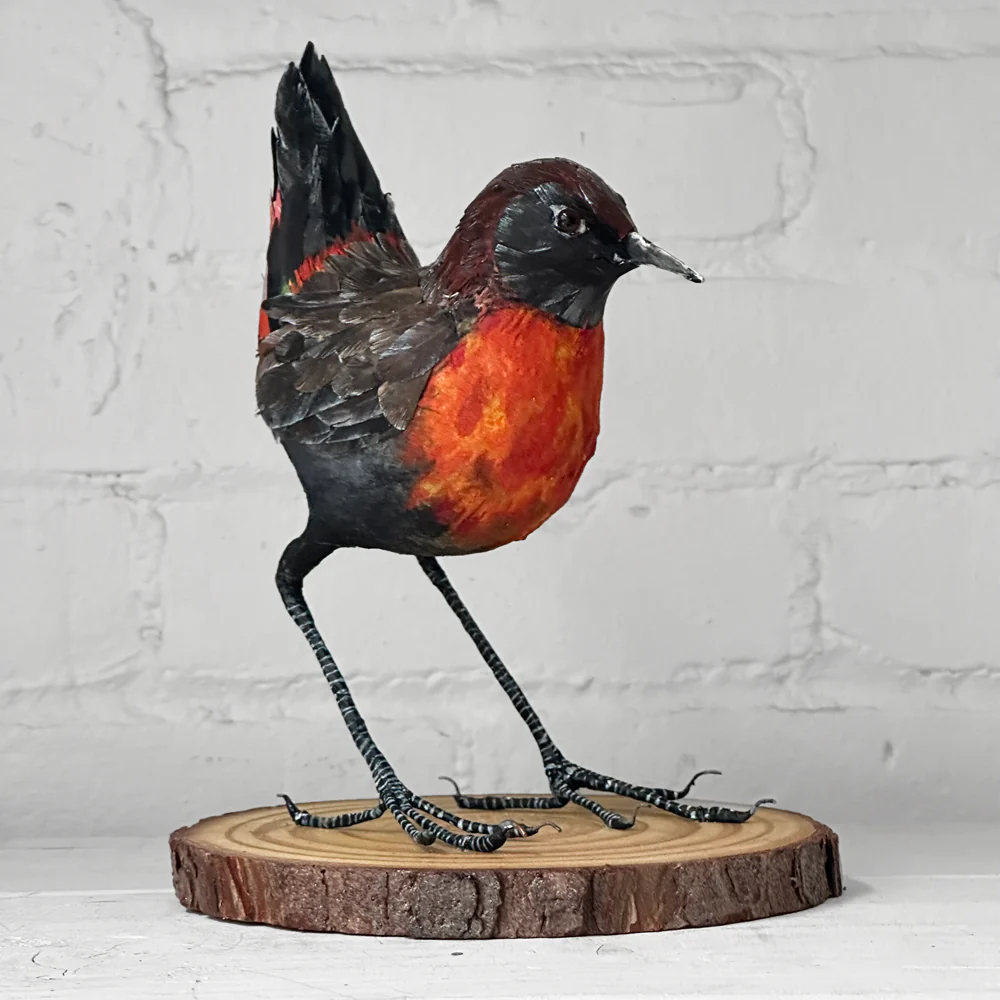 Papier-Mâché Rufous-Breasted Thrush Bird #48 - Image 4