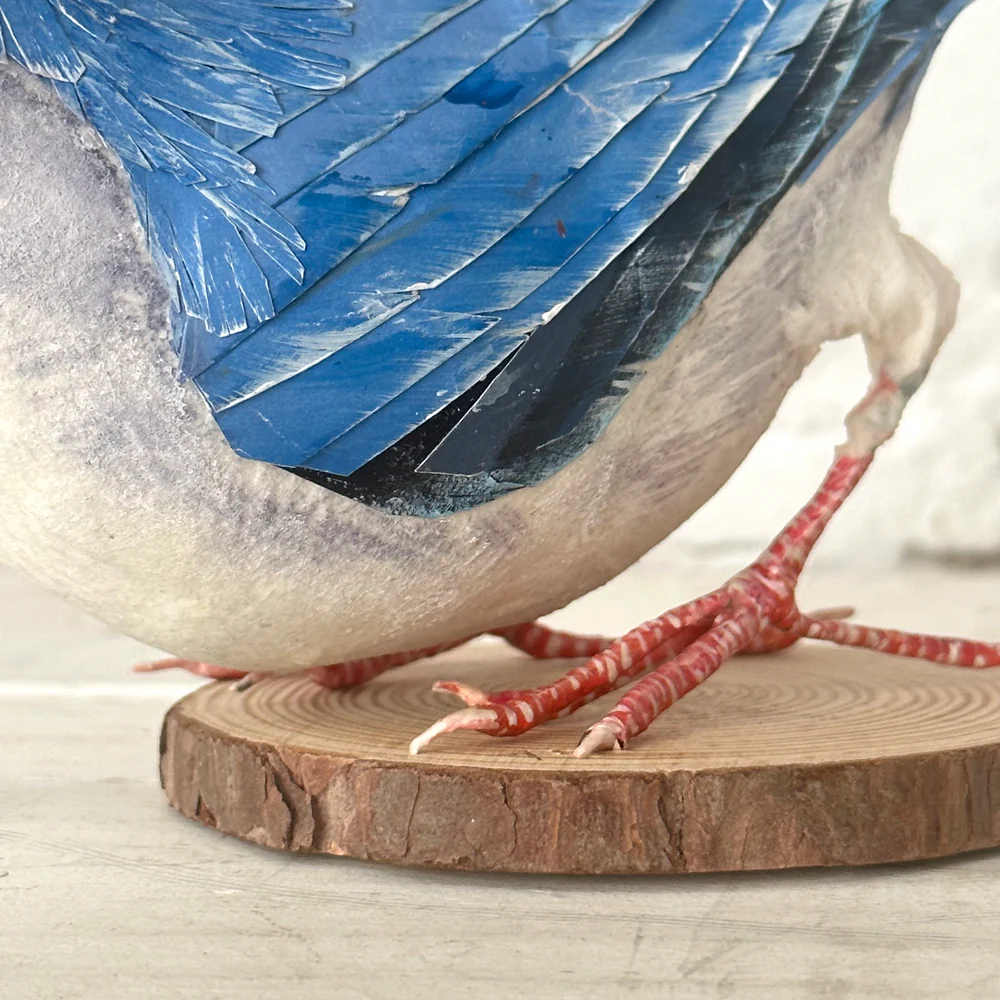Papier-Mâché White Breasted Nuthatch #41 - Image 3