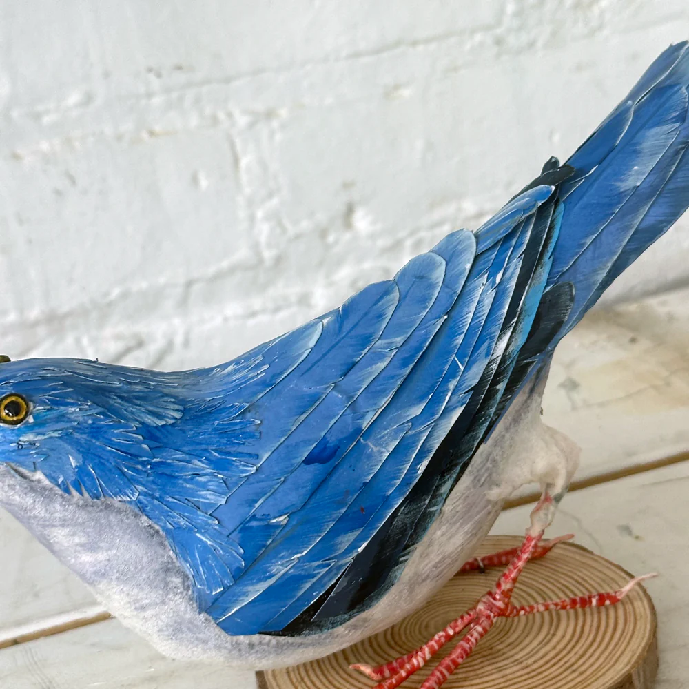 Papier-Mâché White Breasted Nuthatch #41 - Image 4