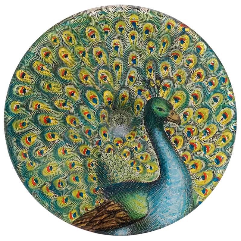 Peacock - Image 2