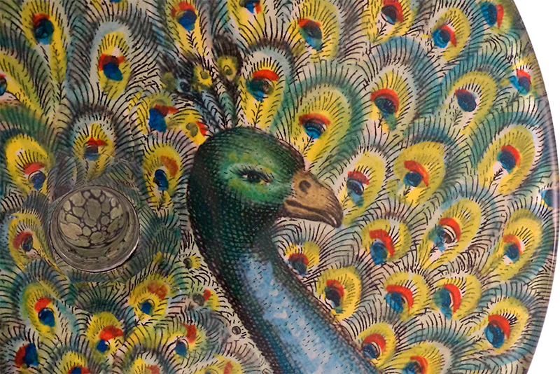 Peacock - Image 4