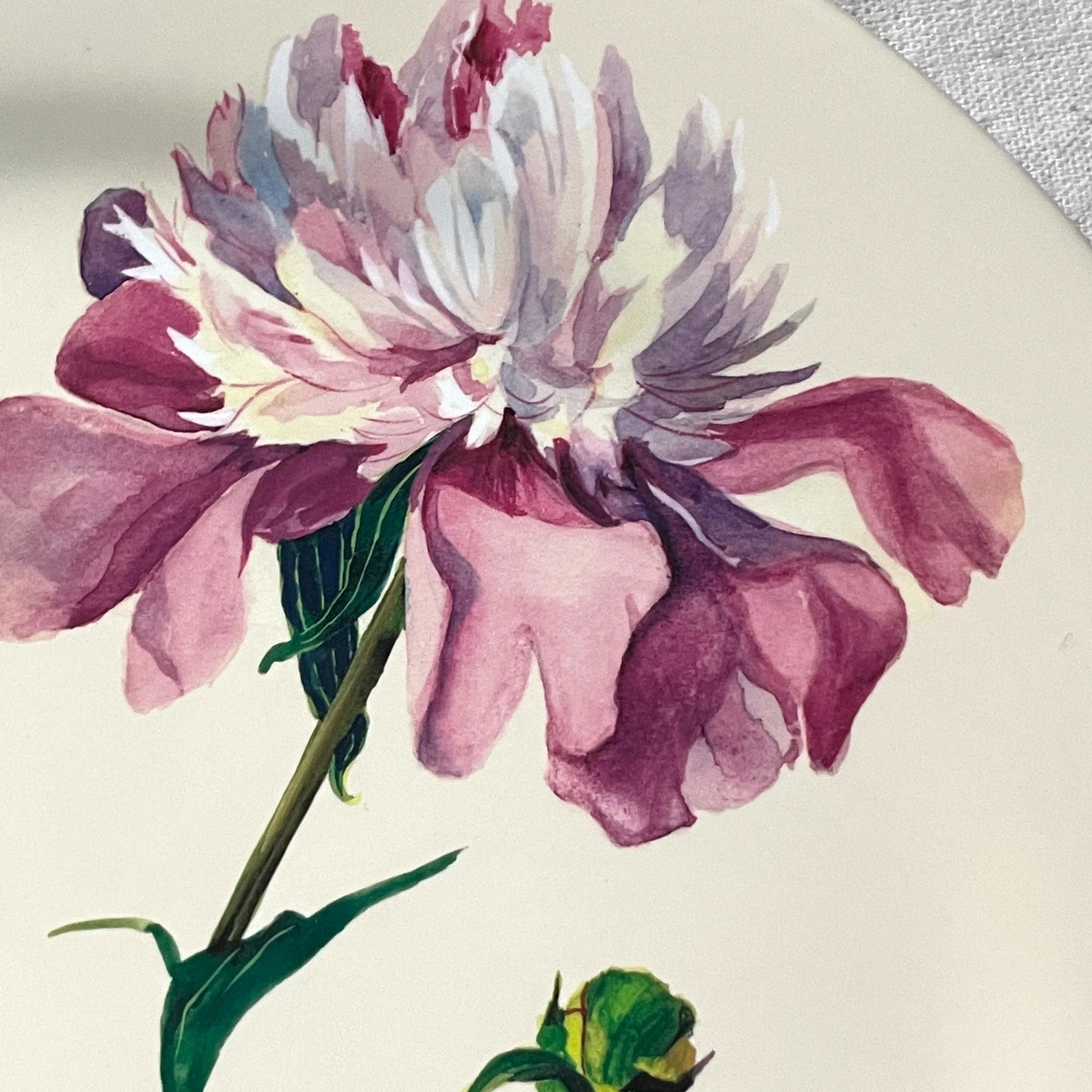 Peony 13" Large Plate - Image 2