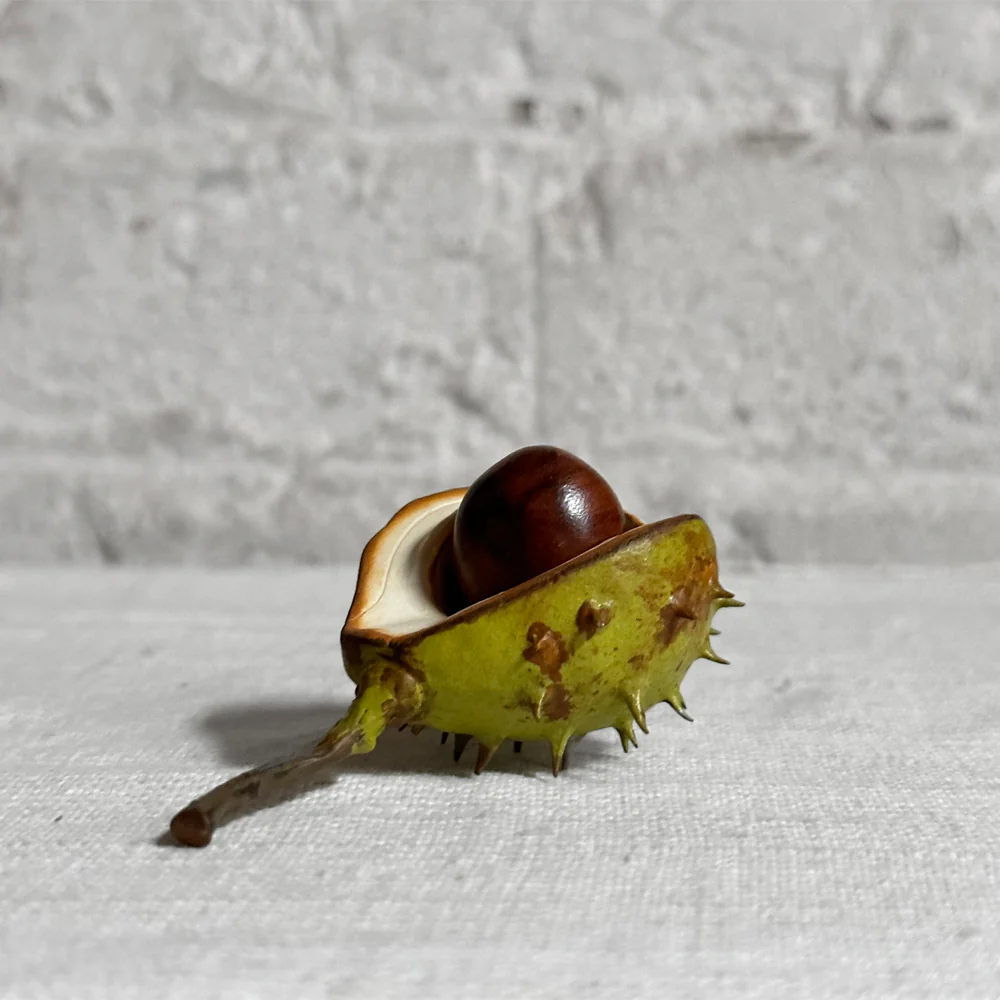 Porcelain Baby Horsechestnut Half Shell with Removable Nut & Stem - Image 2