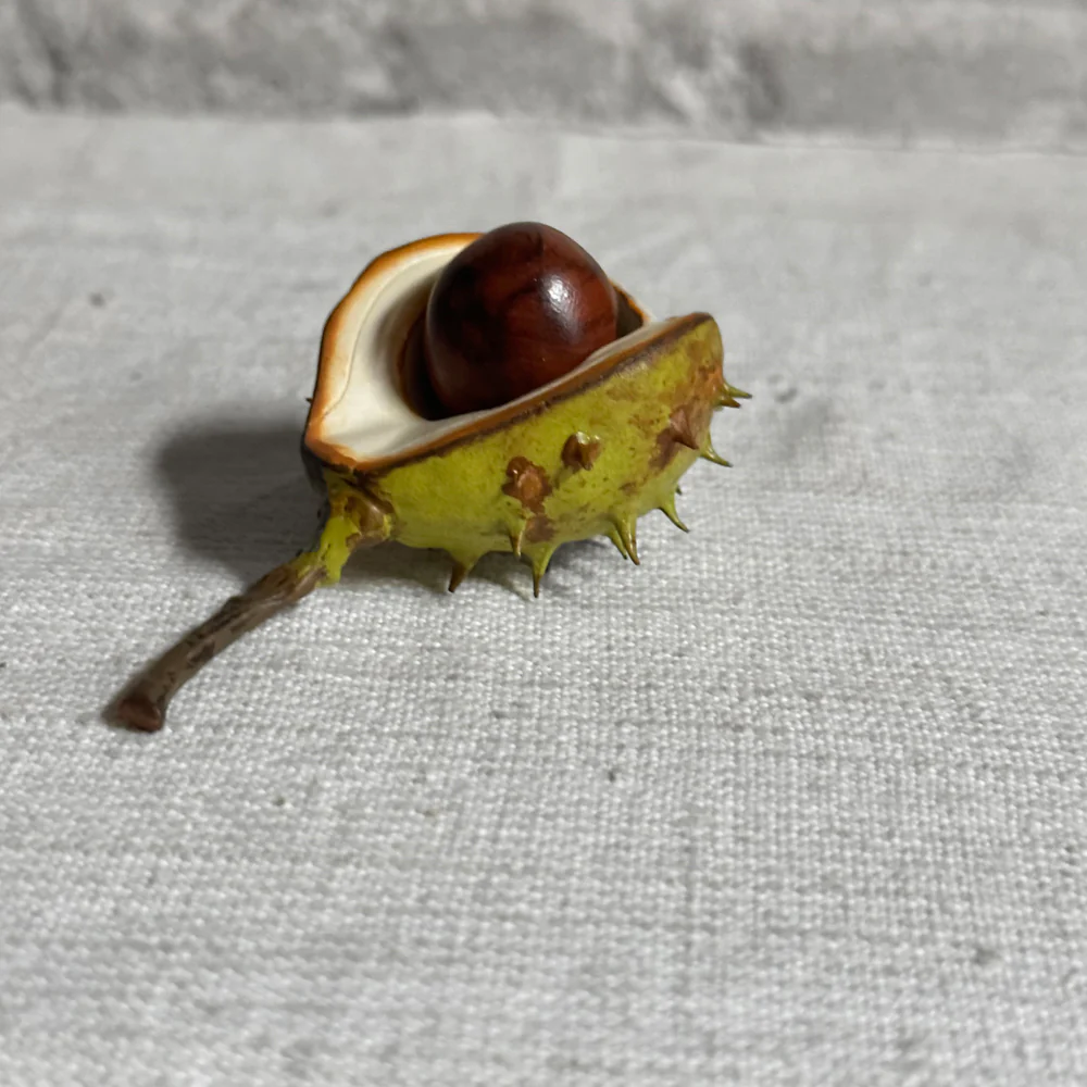 Porcelain Baby Horsechestnut Half Shell with Removable Nut & Stem - Image 3