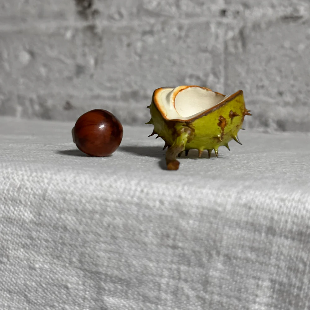 Porcelain Baby Horsechestnut Half Shell with Removable Nut & Stem - Image 4