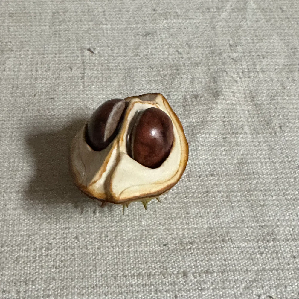 Porcelain Baby Horsechestnut Lid with Two Removable Nuts - Image 2