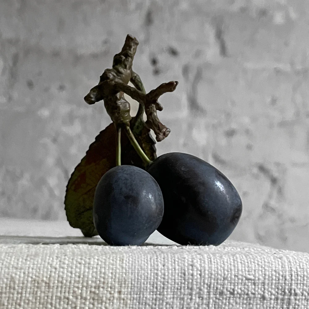 Porcelain Double Damson with One Leaf - Image 2