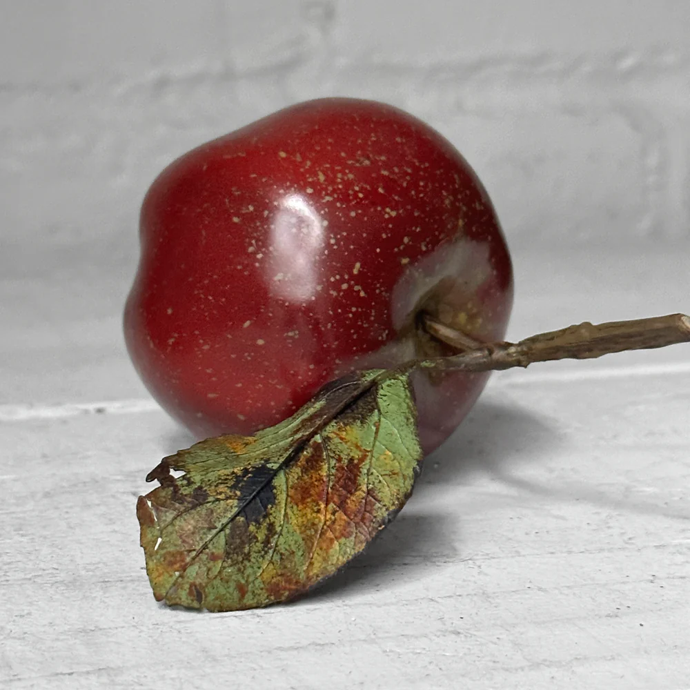 Porcelain Red Windfall Apple - Image 3