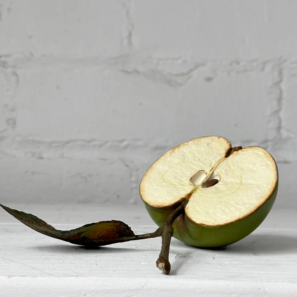 Porcelain Sliced Green Apple with Leaf - Image 3