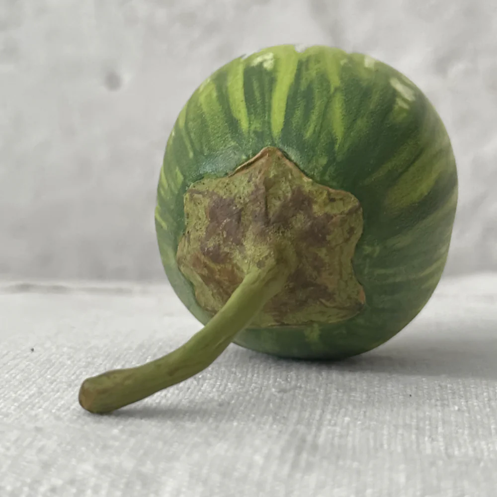 Porcelain Small Thai Eggplant - Image 2