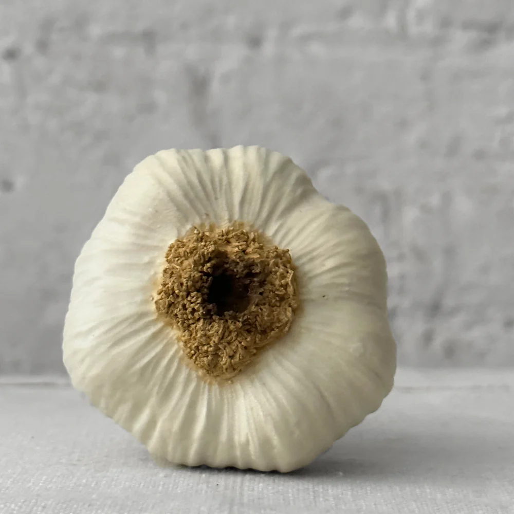 Porcelain Tall White Garlic - Image 2