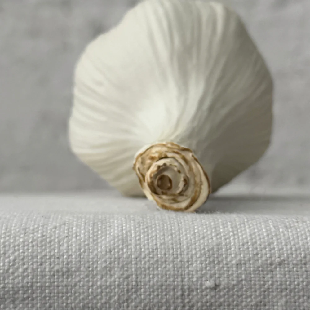 Porcelain Tall White Garlic - Image 3