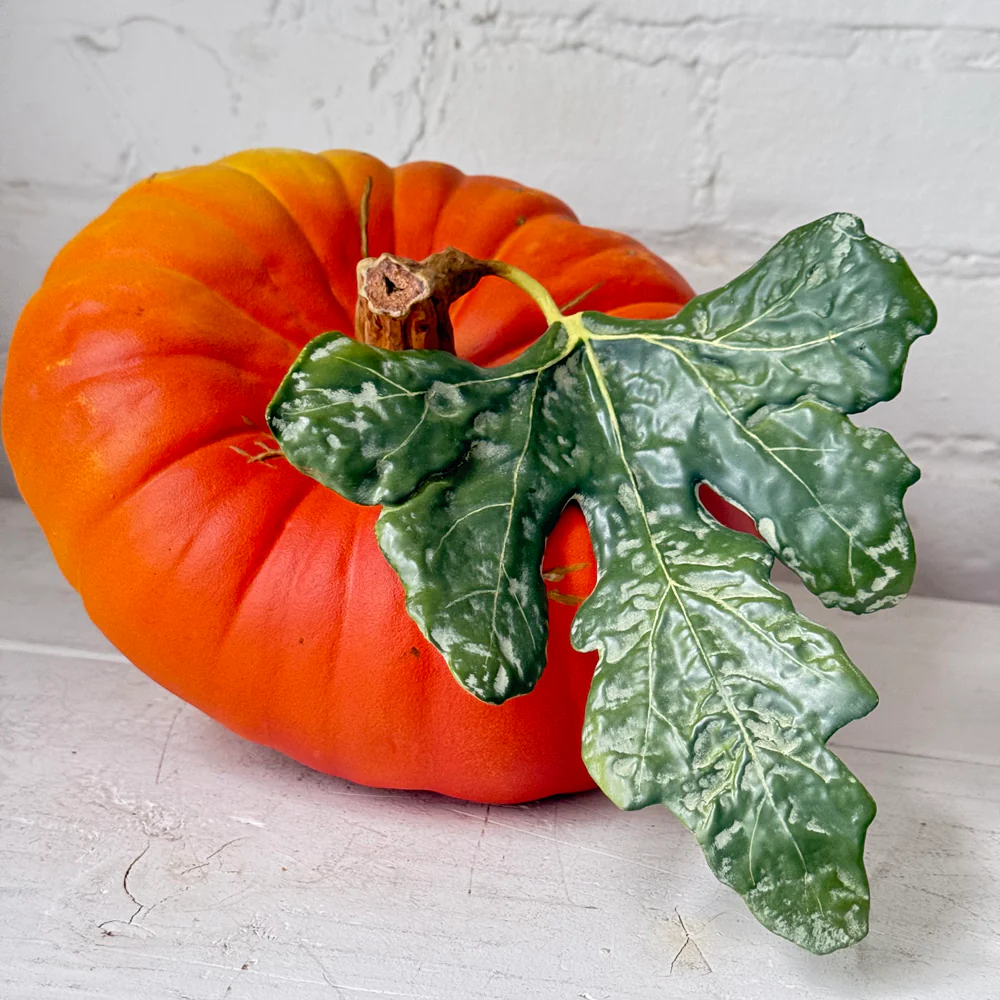 Porcelain Turban Squash with Leaf - Image 4