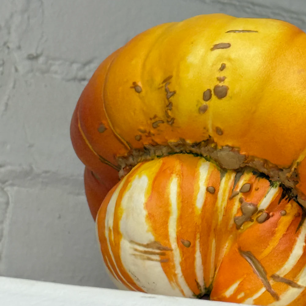 Porcelain Turban Squash with Leaf - Image 6