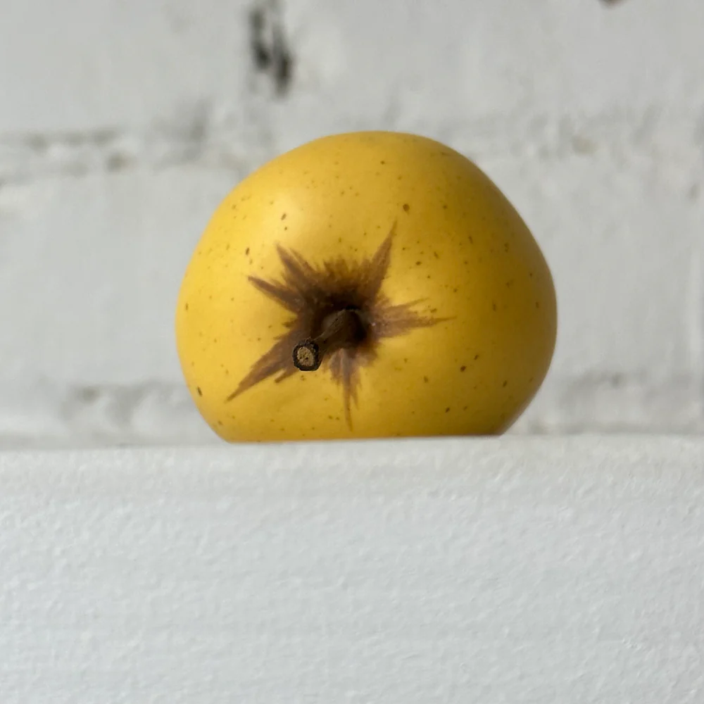 Porcelain Windfall Golden Delicious Apple - Image 3
