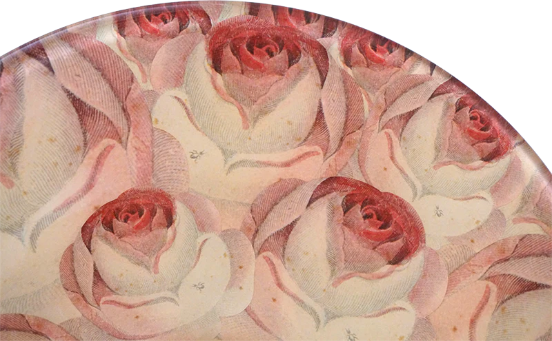 Roses - Image 5