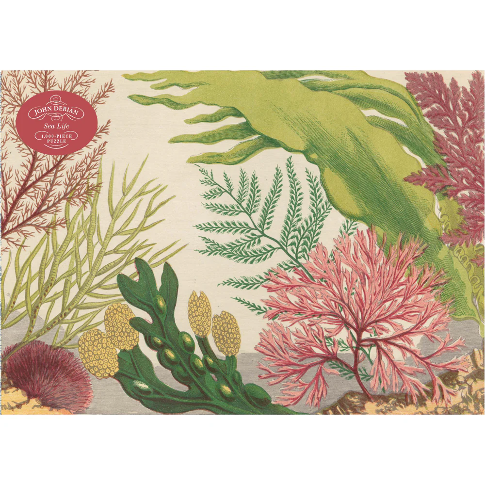 Sea Life - Image 2