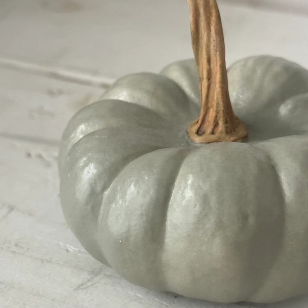 Baby Crown Prince Porcelain Squash - Image 3