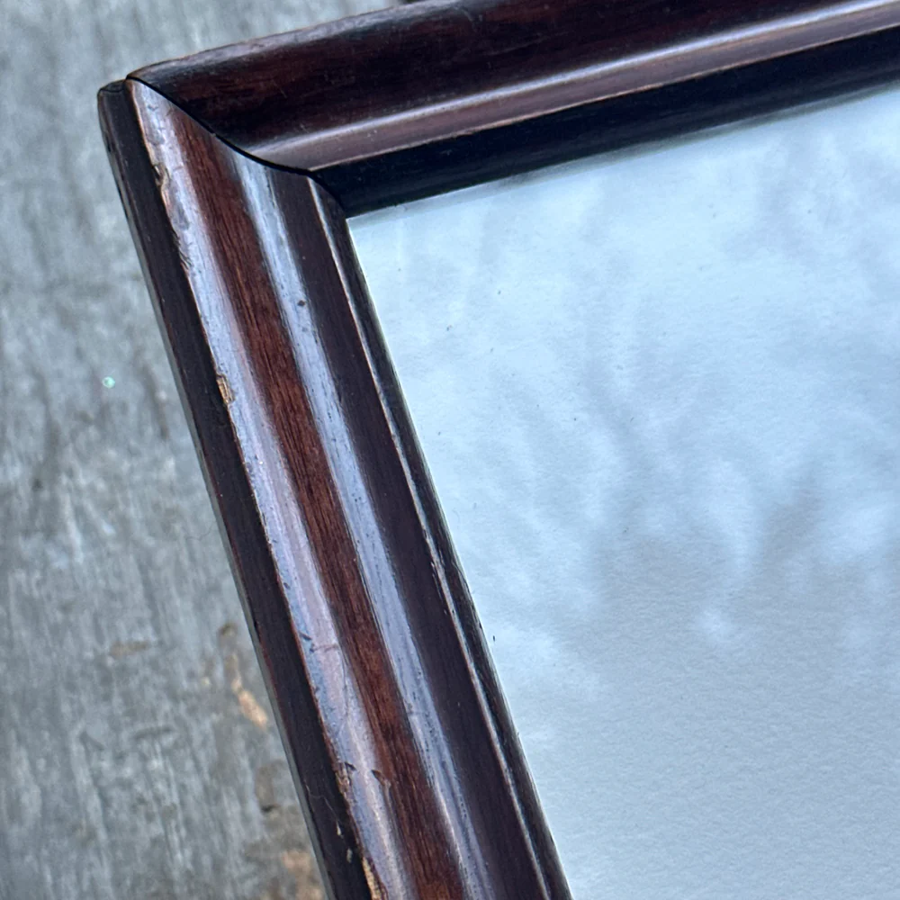 "Spider" in a Vintage Frame - Image 3