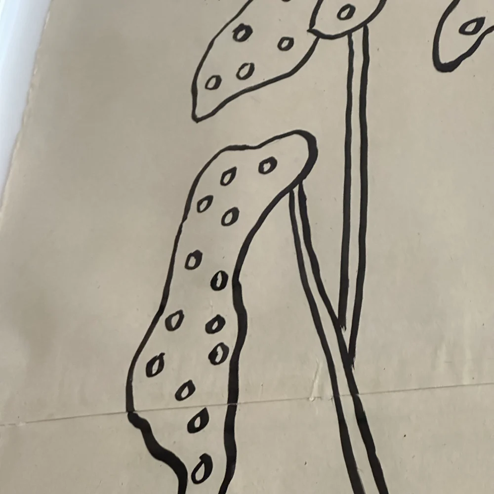 "Spotted Plant" - Image 3