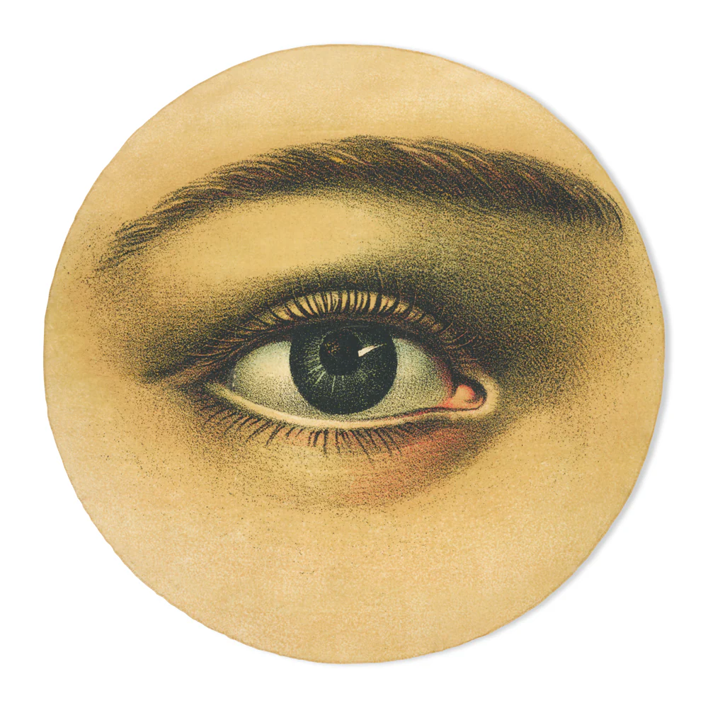 Summerill & Bishop x John Derian "Eye" Round Tablecloth - Image 2