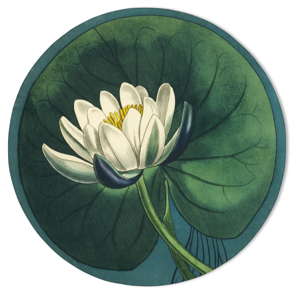 Summerill & Bishop x John Derian "Water Lily" Round Tablecloth - Image 2