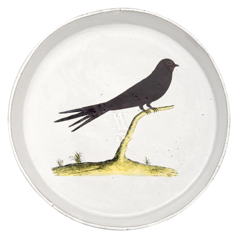 Swift Dish