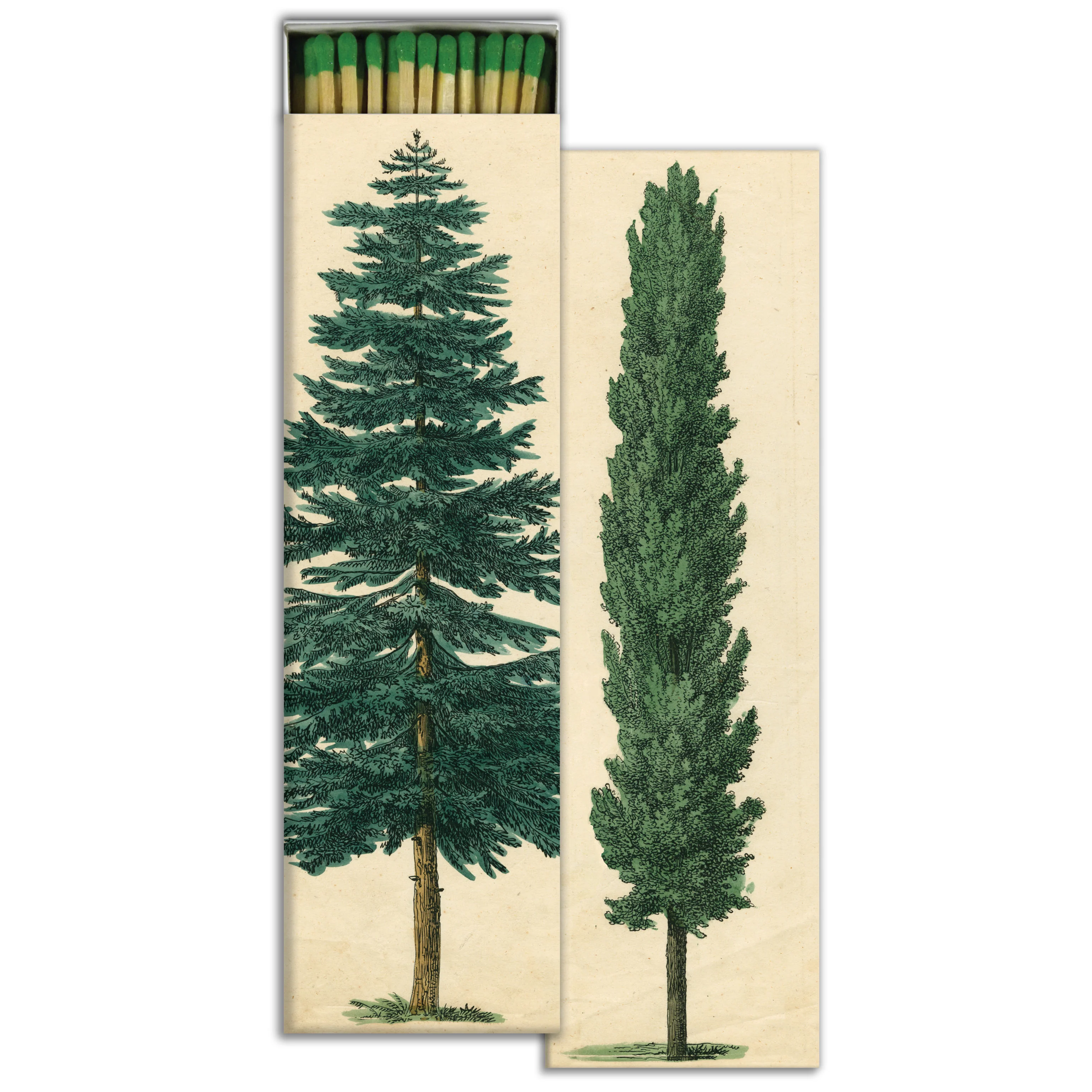 Tall Trees