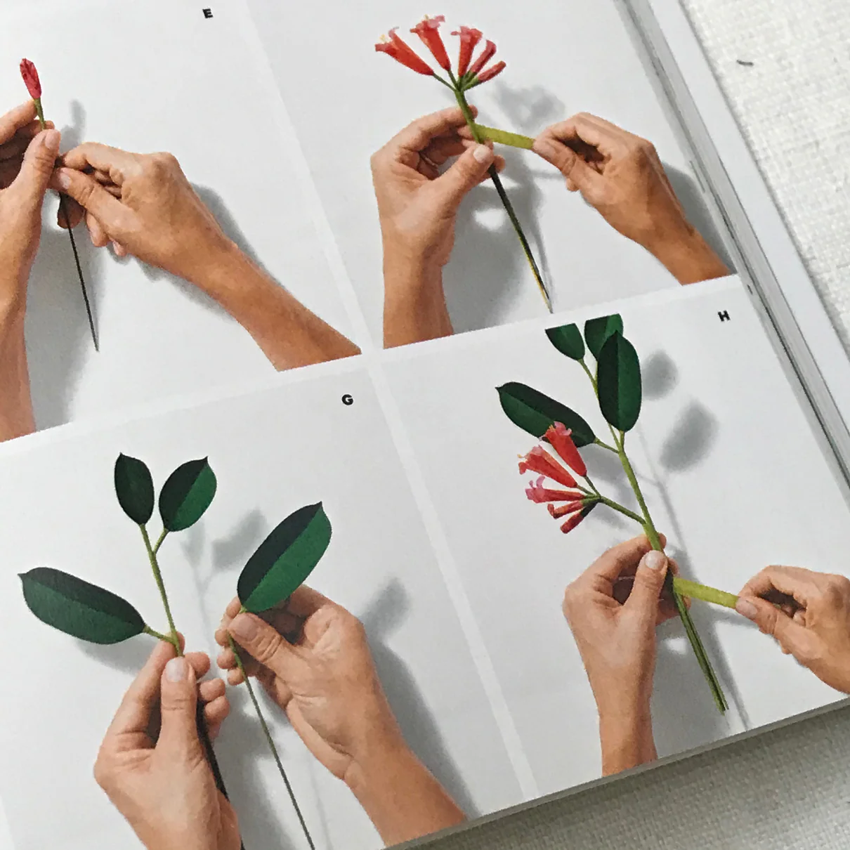 The Exquisite Book of Paper Flower Transformations by Livia Cetti - Image 3