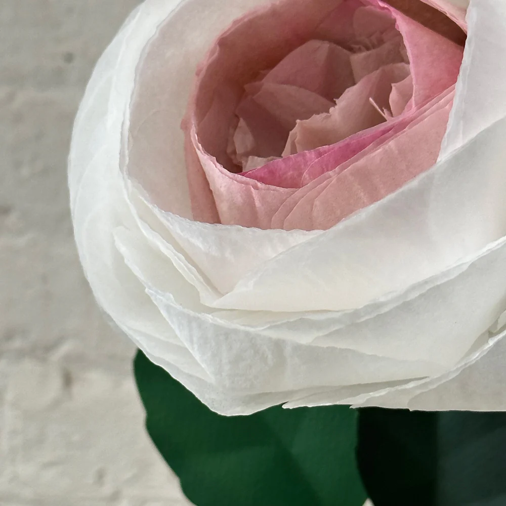 The Green Vase Chevalier Rose Stem (No. 1) - Image 3