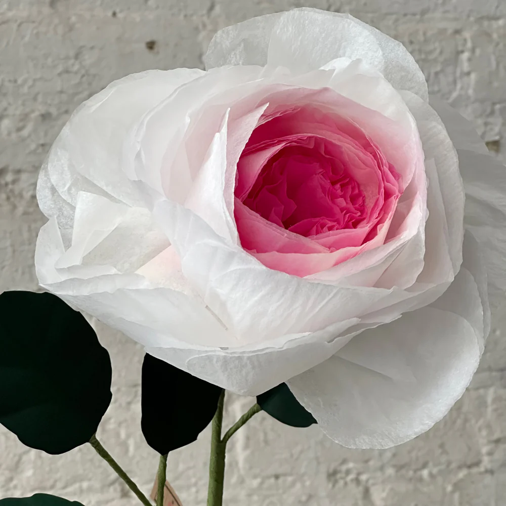 The Green Vase Chevalier Rose Stem (No. 2) - Image 2