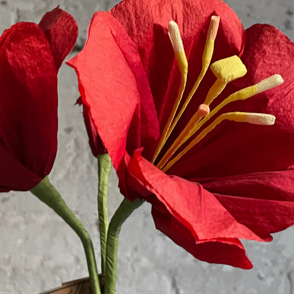 The Green Vase Potted Amaryllis Plant - Image 2