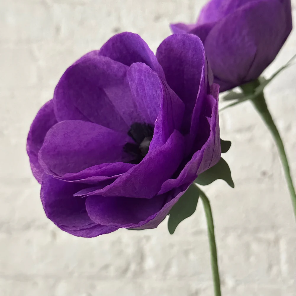 The Green Vase Potted Anemone Plant - Image 4
