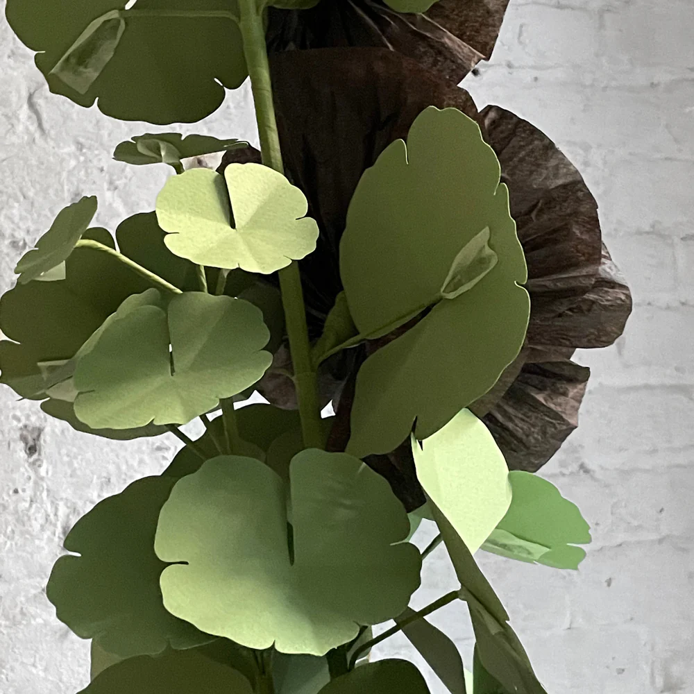 The Green Vase Potted Black Hollyhock - Image 4
