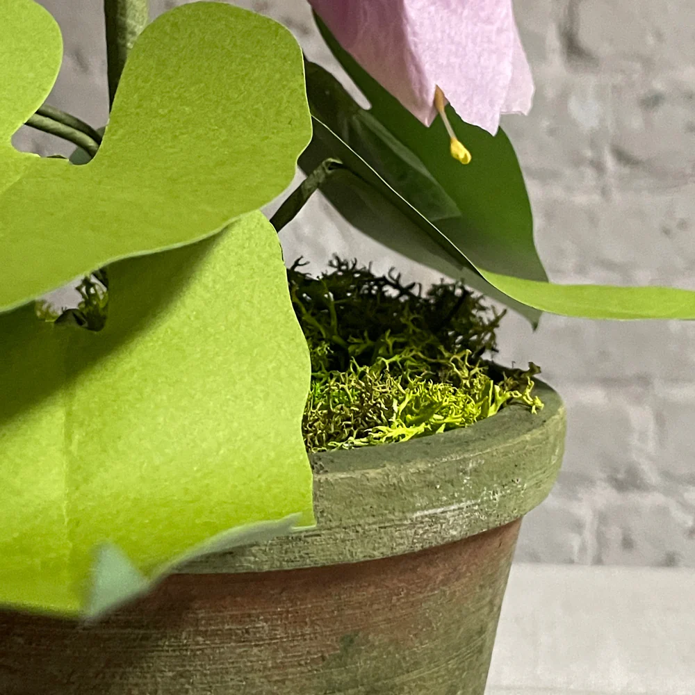 The Green Vase Potted Campanula Plant Vase - Image 5