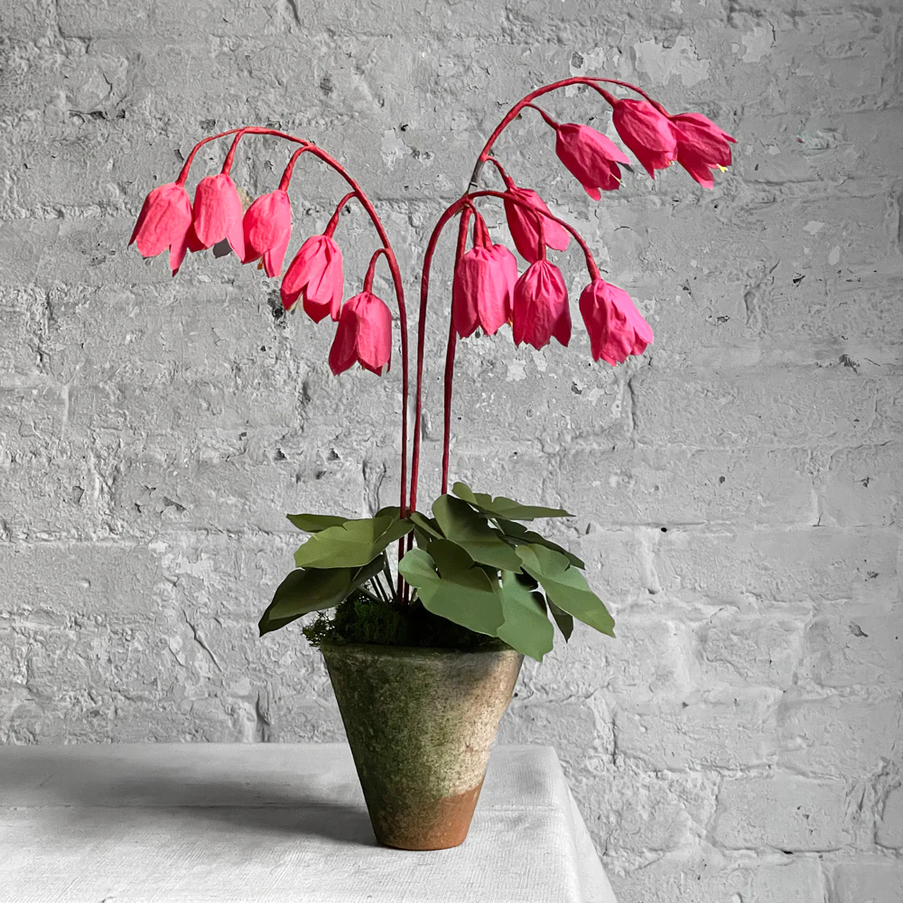 The Green Vase Potted Coral Bells Plant