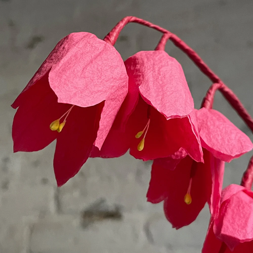 The Green Vase Potted Coral Bells Plant - Image 2