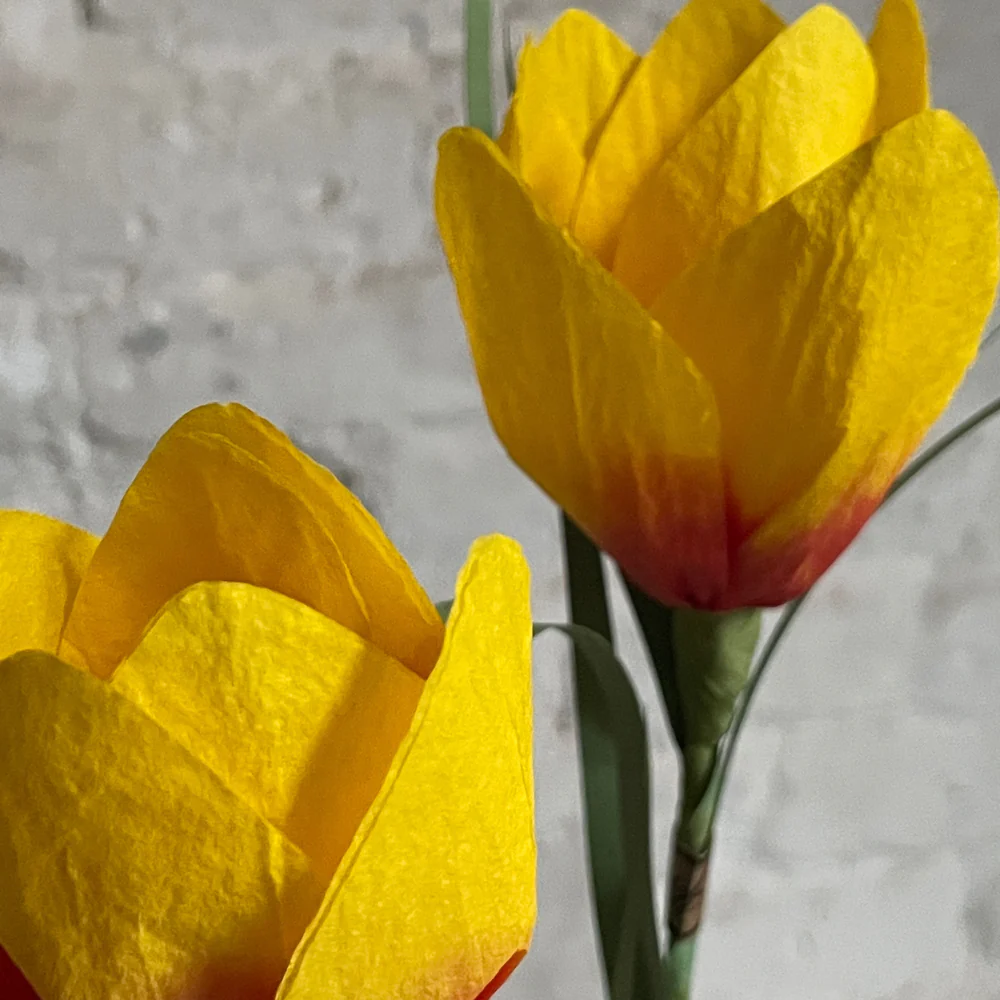 The Green Vase Potted Crocus Plant - Image 3