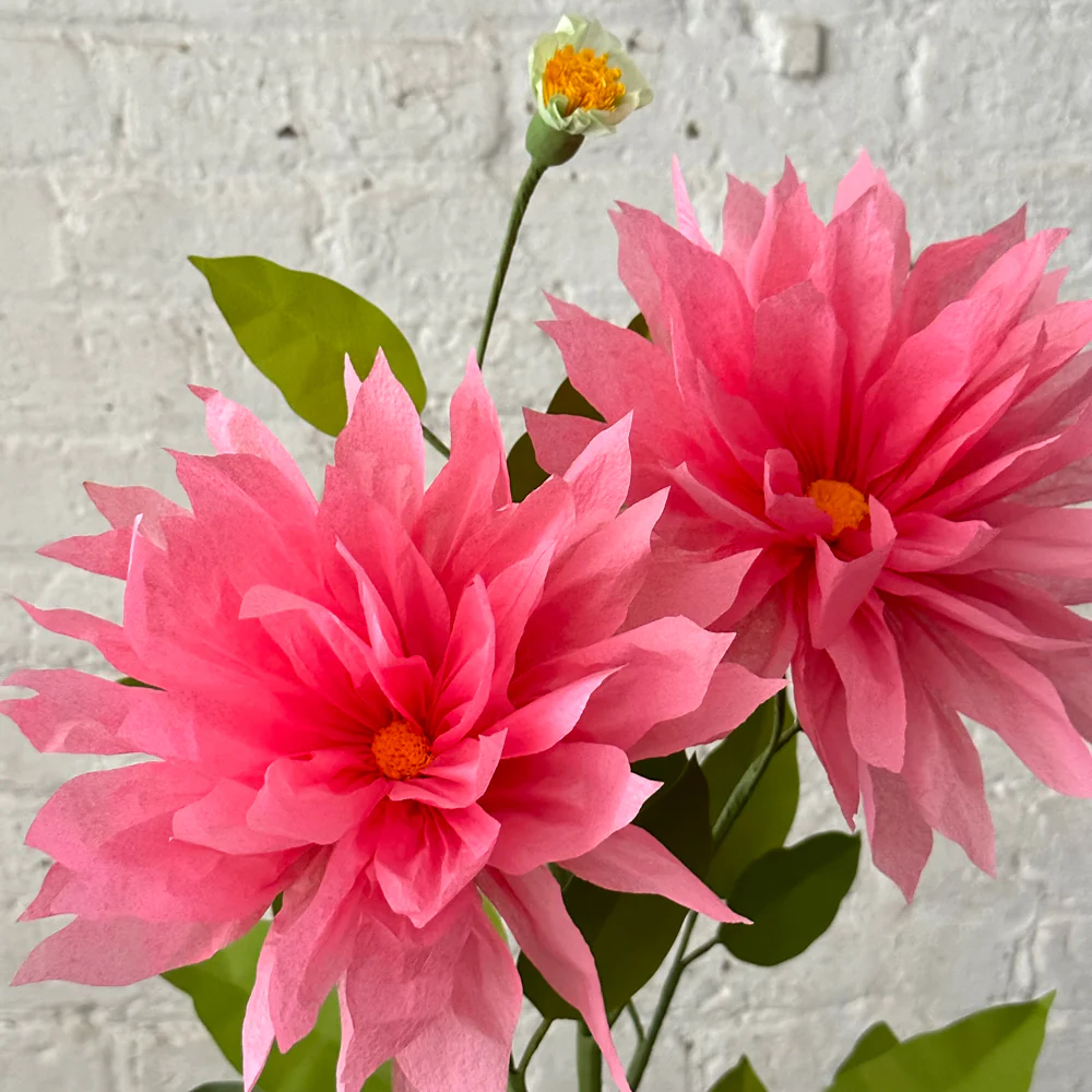 The Green Vase Potted Dahlia Plant - Image 2