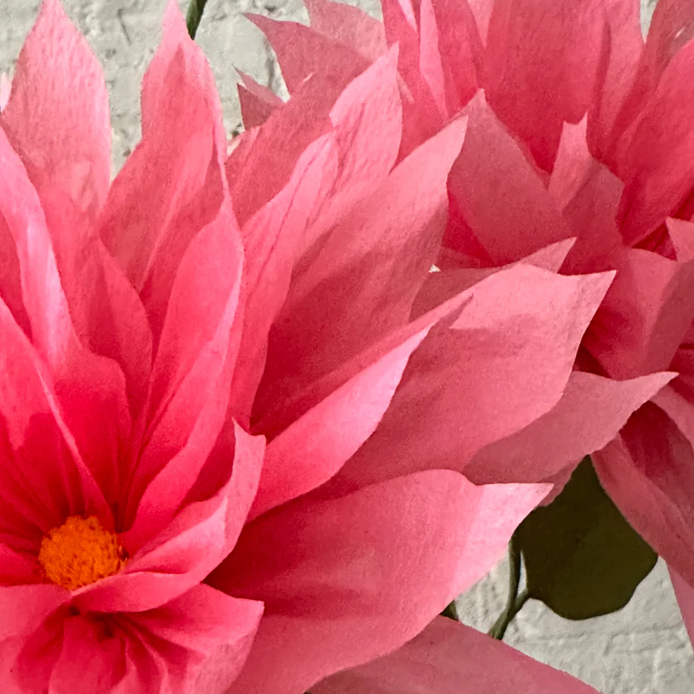 The Green Vase Potted Dahlia Plant - Image 4