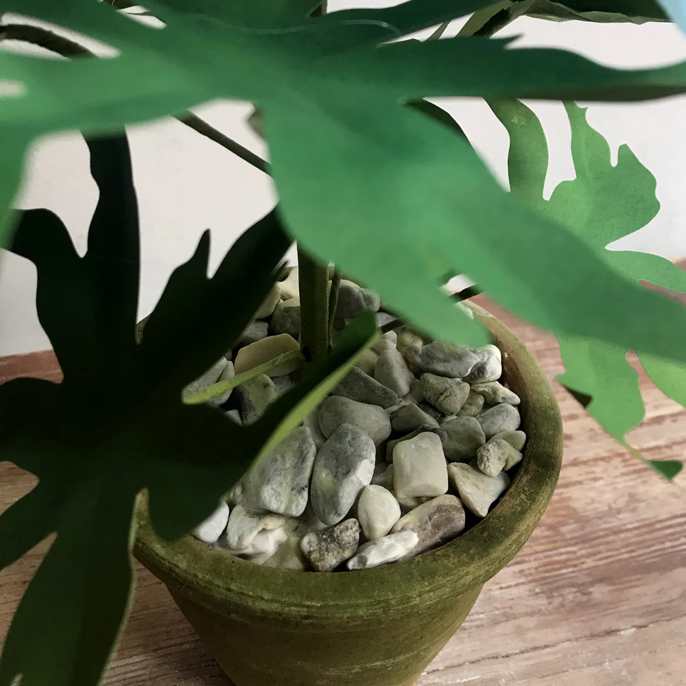 The Green Vase Potted Delphinium - Image 3