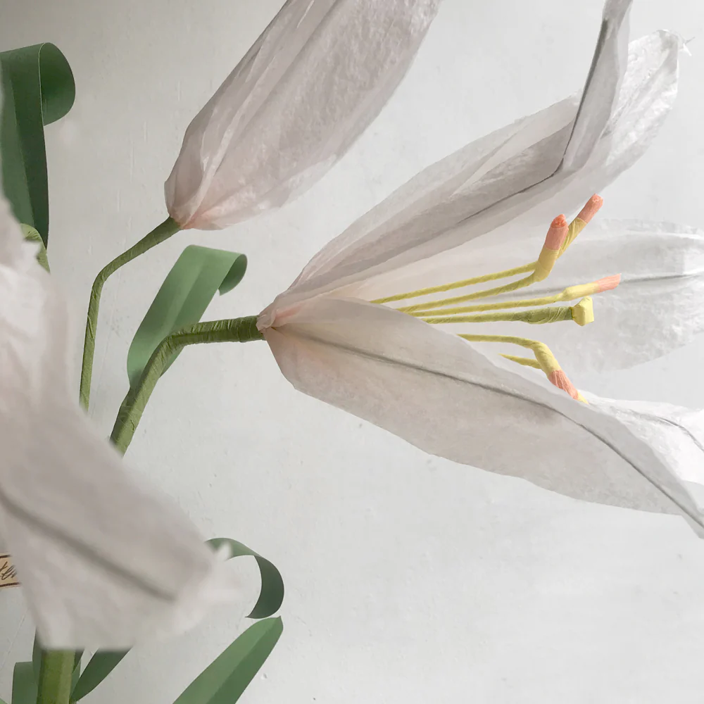 The Green Vase Potted Easter Lily - Image 2