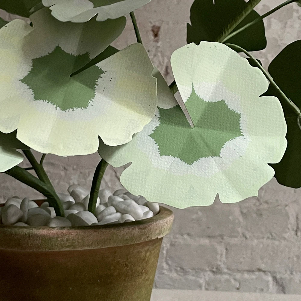 The Green Vase Double Potted Geranium - Image 2