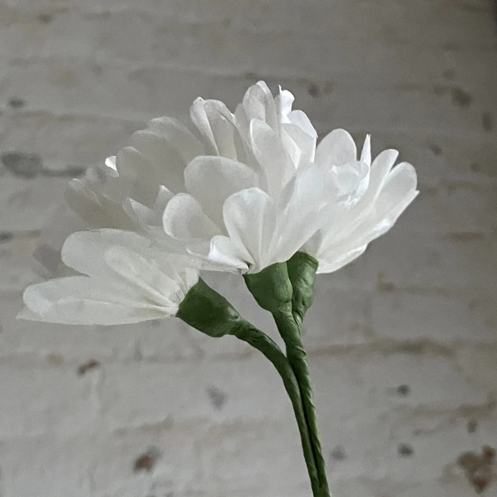The Green Vase Double Potted Geranium - Image 3