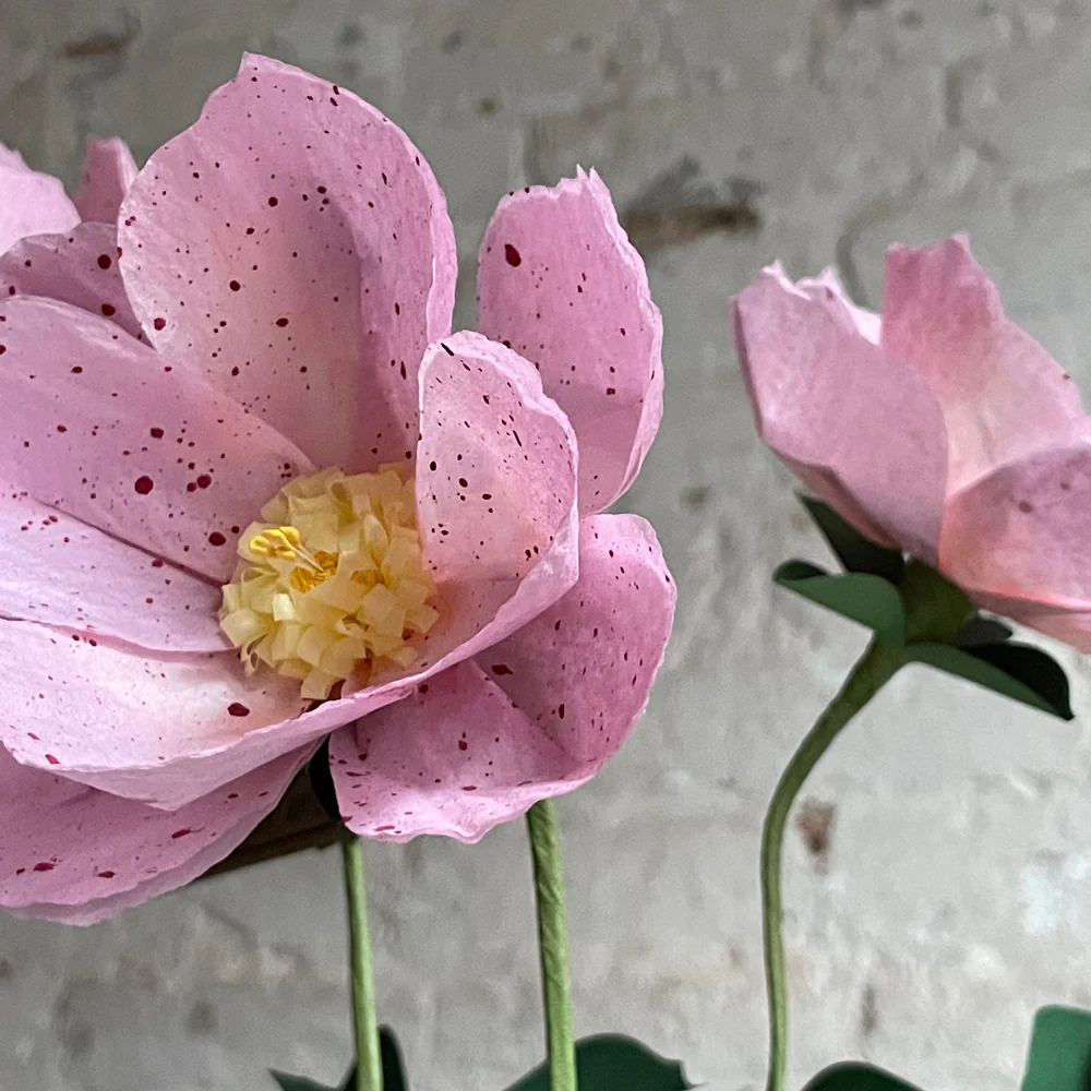 The Green Vase Potted Hellebore Plant - Image 2