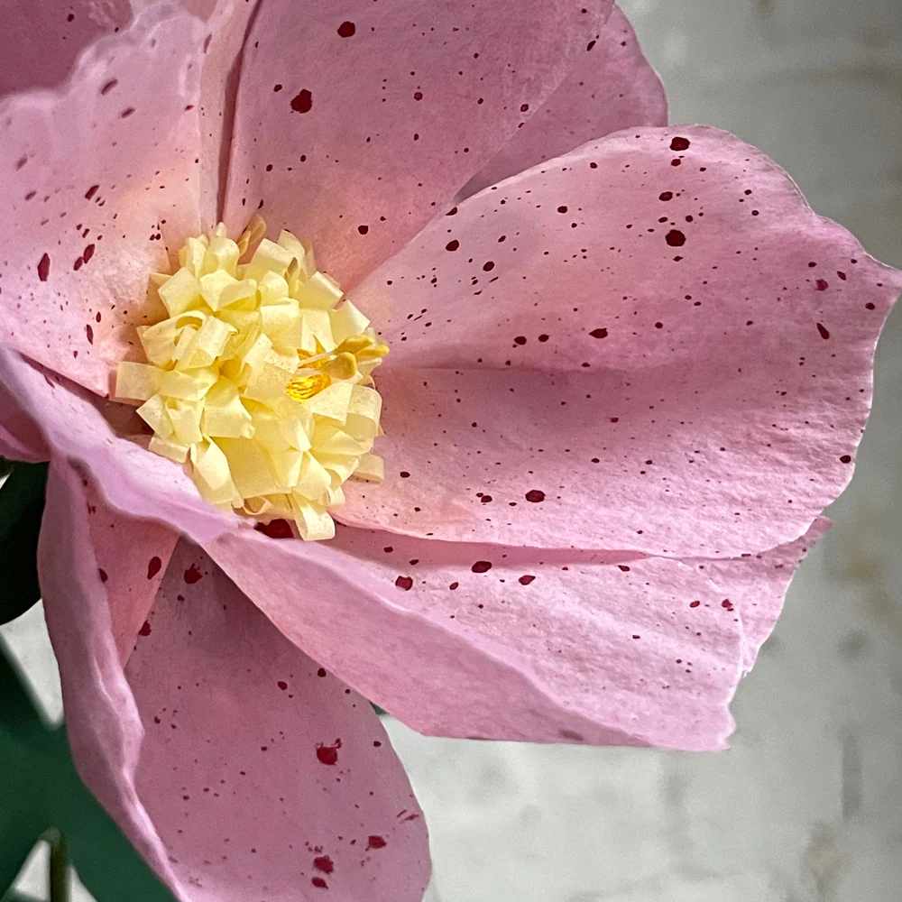 The Green Vase Potted Hellebore Plant - Image 5