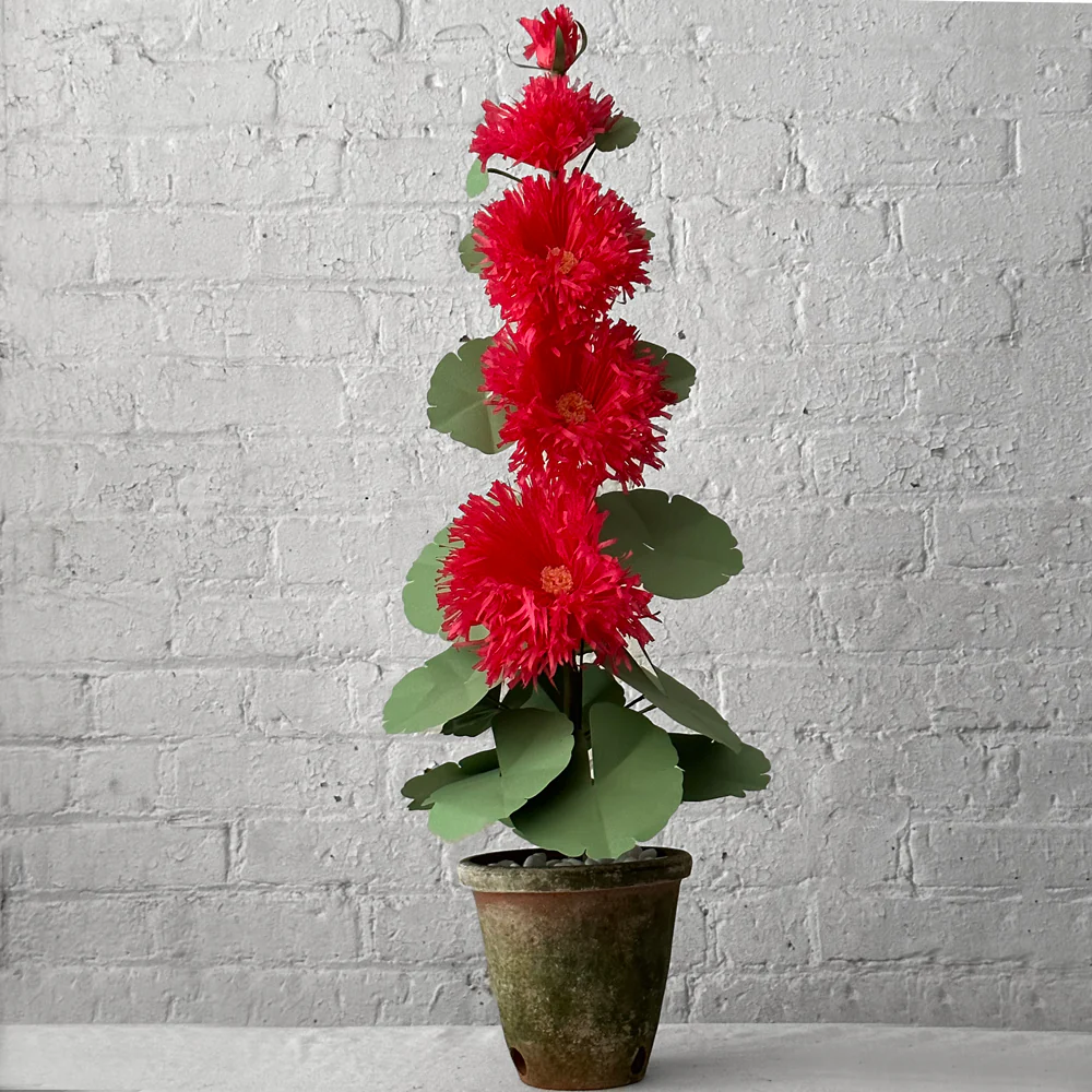 The Green Vase Potted Hollyhock Plant