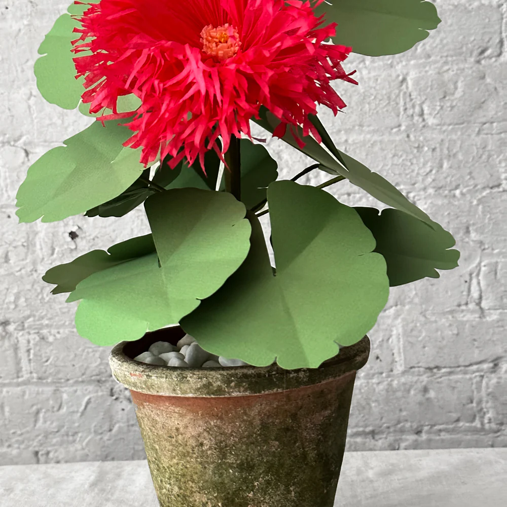 The Green Vase Potted Hollyhock Plant - Image 2
