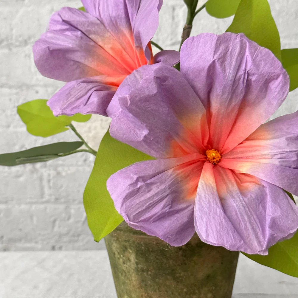 The Green Vase Potted Morning Glory Plant - Image 2
