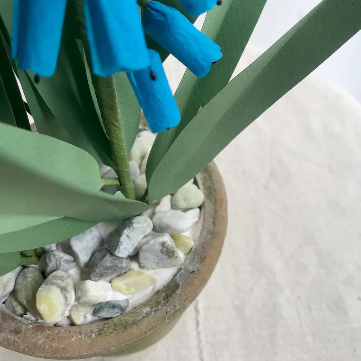 The Green Vase Potted Muscari - Image 3